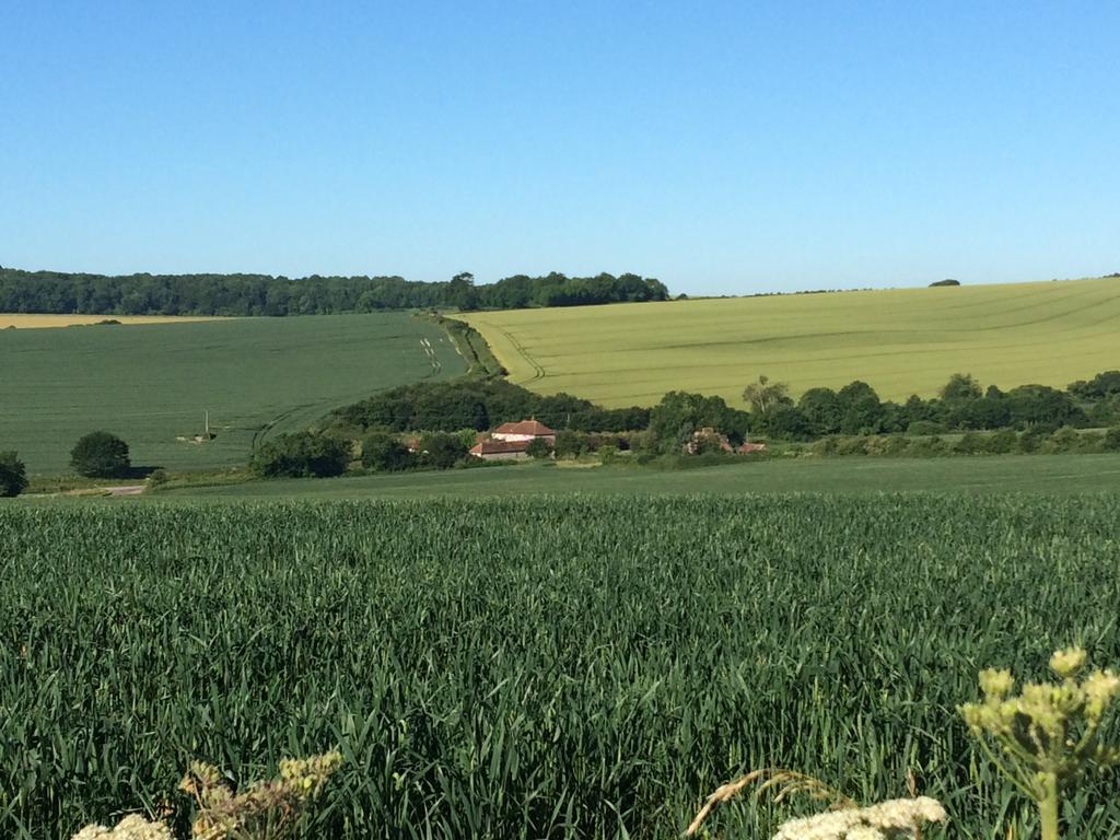 Shepherds Barn West Dean Екстер'єр фото