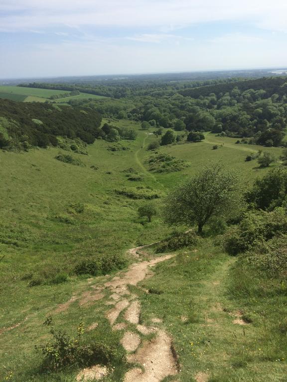 Shepherds Barn West Dean Екстер'єр фото